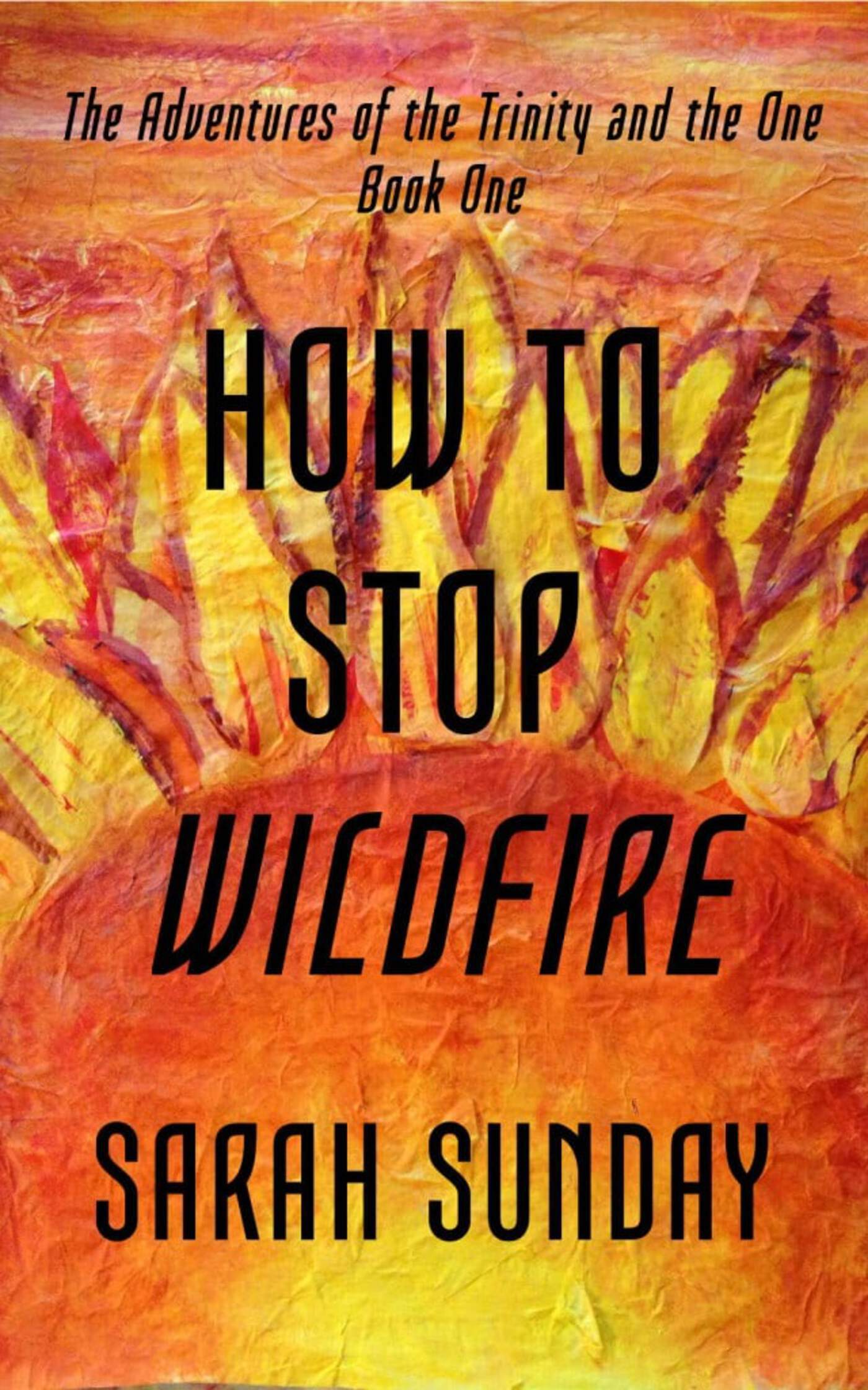 New Book Cover for How to Stop Wildfire!